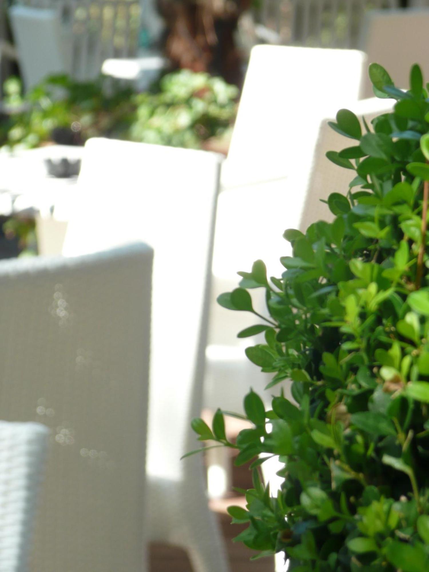 Hotel Flora Milano Marittima Luaran gambar